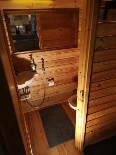 a small bathroom with a sink and a toilet at Talvitahko 3 in Nilsiä