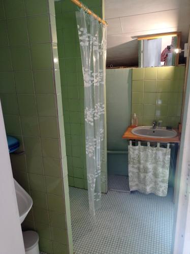a bathroom with a sink and a shower curtain at Gîte rustique en Morvan in Brassy