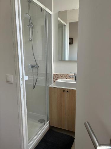 a bathroom with a shower and a sink at Studio 4 in Arcueil