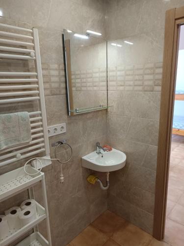 a bathroom with a sink and a shower with a mirror at Apartamentos Arredondo in Arredondo