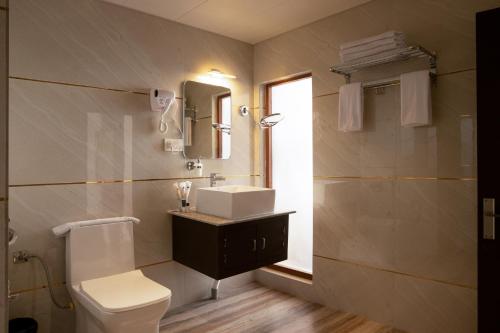 a bathroom with a sink and a toilet and a mirror at Valmere Bayul Shangri-La Resort in Lachung