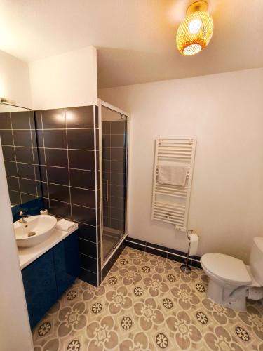 a bathroom with a toilet and a sink and a shower at Studio calme Cite Internationale Wifi in Caluire-et-Cuire
