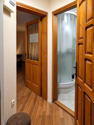 an open door to a bathroom with a shower and a glass door at Native Apartments in Budva