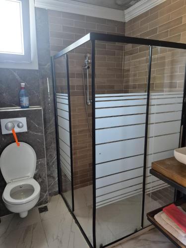 a bathroom with a shower with a toilet and a sink at ByTemur Dağ Evi in Çamlıhemşin