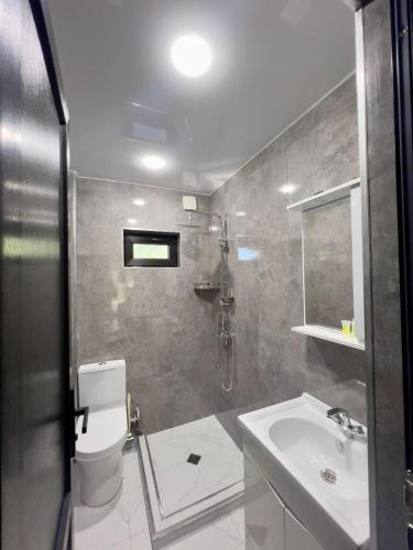 a bathroom with a shower and a toilet and a sink at Likani Stay in Borjomi