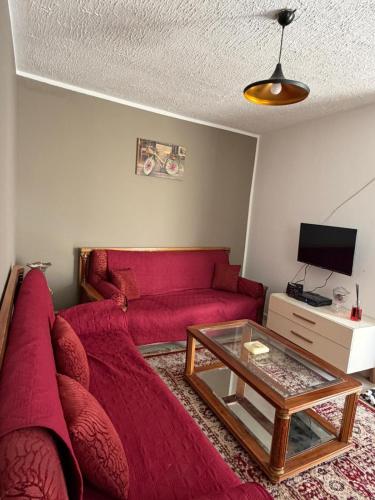 studio meubler chambre a coucher avec lit double et salon avec deux divant lit