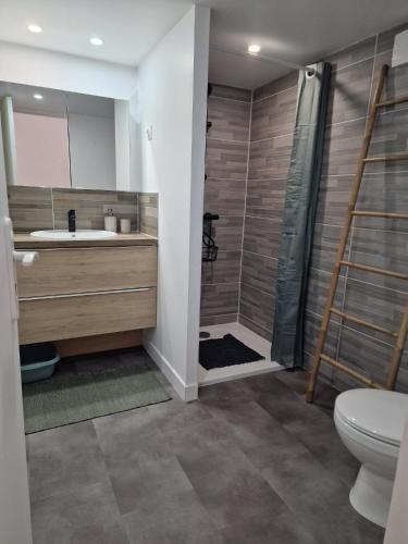 a bathroom with a shower and a sink and a toilet at L'escale Provençale in Pierrelatte