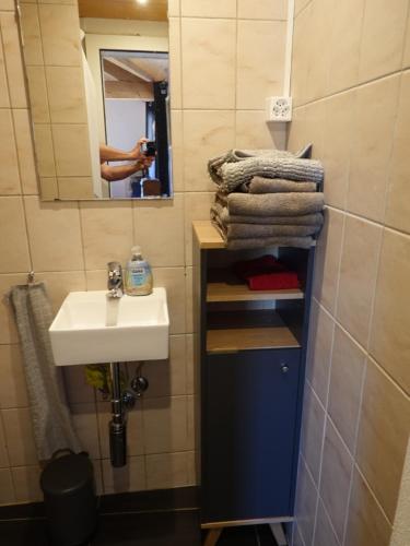 a bathroom with a sink and a mirror and towels at "Les Échalas" Charmante maison au coeur du Lavaux, Cully in Cully