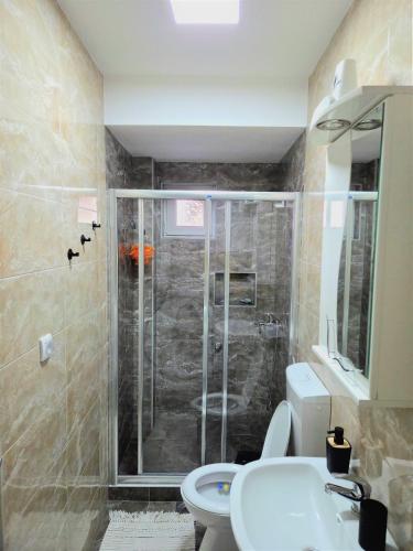 a bathroom with a shower and a toilet and a sink at Apartman Sigma Zlatar in Nova Varoš
