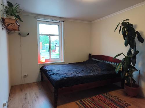 a bedroom with a bed and a window at Ruumikas looduslik pärl- Self check-in in Viljandi