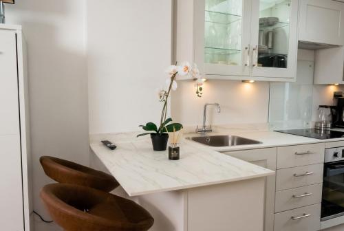 Garden Studio in Hove, Parking & Hot Tub photo 23