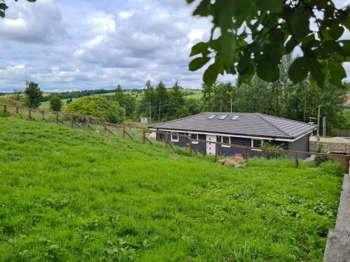 a house in the middle of a green field at Craigpark Lodge in Caldercruix