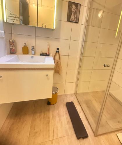 a bathroom with a sink and a shower at Smile Home in Klagenfurt