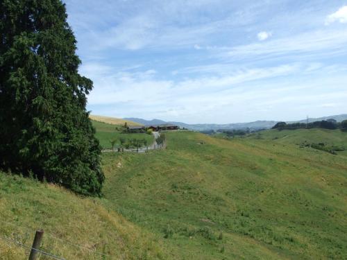 a green field with a tree on a hill at Kauri Lodge Karapiro in Karapiro