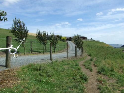 a road with trees on the side of a hill at Kauri Lodge Karapiro in Karapiro