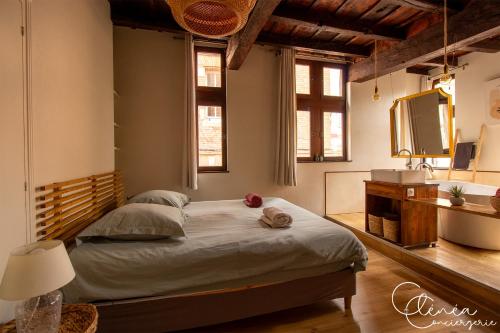 a bedroom with a bed and a sink and a mirror at Sous les toits de Sainte-Cécile in Albi