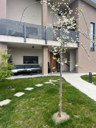 a tree in a yard in front of a building at Apartments Wally in Ptuj