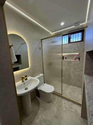 a bathroom with a toilet and a sink and a shower at Mery Pery in Yerevan