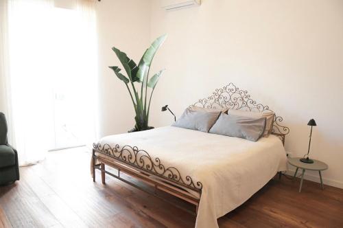 Foto Amira home 1