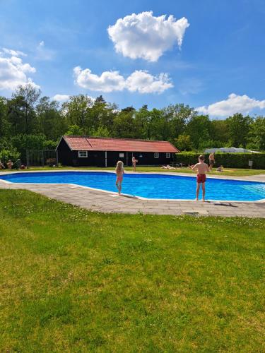a couple of people standing by a swimming pool at De Huisbij in Oude Willem