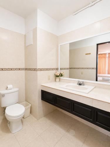 a bathroom with a toilet and a sink and a mirror at Zona Dorada Living in Mazatlán