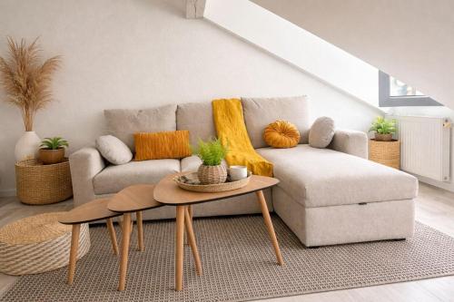 Appartement 1 Chambre
