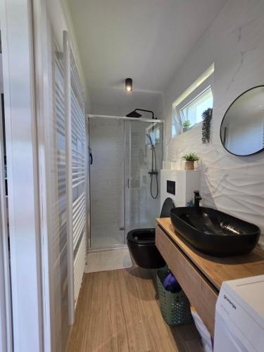 a bathroom with a black sink and a toilet at The Dream house in Tomaš