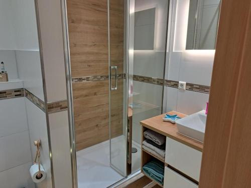 a bathroom with a shower and a sink at NEU! Fewo Calbe an der Saale in Calbe