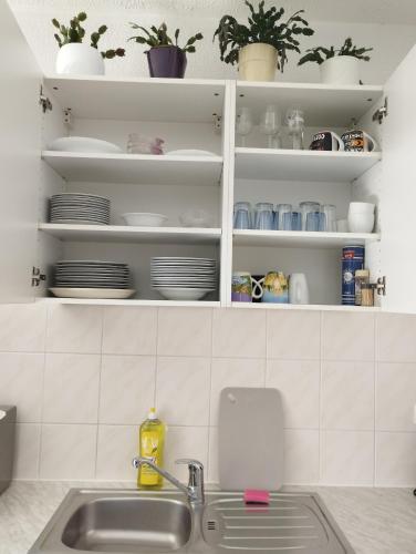 a kitchen with a sink and shelves with dishes at Ferienwohnung Lottstetten in Lottstetten