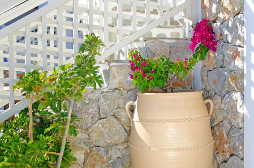 a large vase with flowers in it next to a stone wall at Hotel Castillio in Analipsi