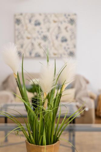 - Apartamento con terraza en el Centro - QH La Casita de Gaos