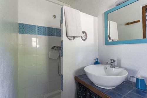 a bathroom with a sink and a shower with a mirror at Gite Insolite Mas Boutet in Argelès-sur-Mer
