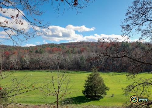 a large green field with trees in the background at Villa #8 in Basye