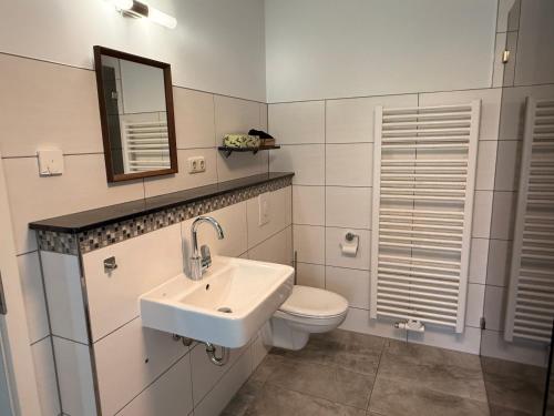 a bathroom with a sink and a toilet and a mirror at Gartenwohnung im Kuhstall, Havelzugang, Vollausstattung in Ketzin