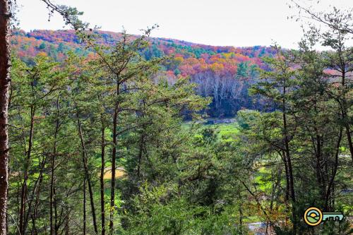 a view of a forest with colorful trees at Villa #162 in Basye