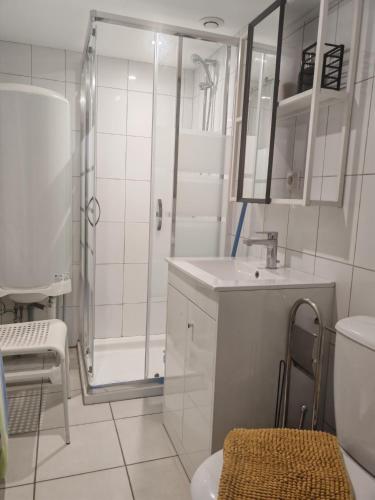 a bathroom with a shower and a sink and a toilet at Studio pour 1 ou 2 personnes in Le Landreau