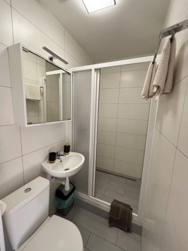 ein Badezimmer mit Toilette, Dusche und Waschbecken in der Unterkunft Rendezvous in Valtice
