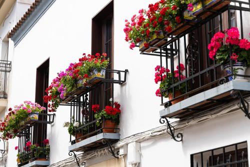 La Casita de Salma