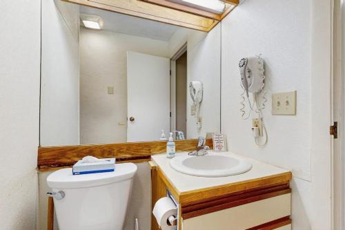 a bathroom with a toilet and a sink and a mirror at Seasons 208 in Warren