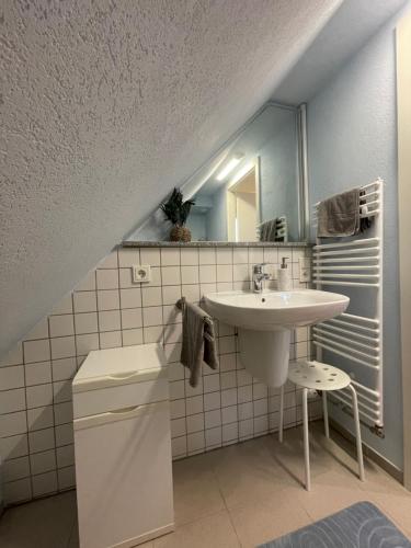 a bathroom with a sink and a mirror at Lieblingsplatz im Grünen - 1 Schlafzimmer in Schweich