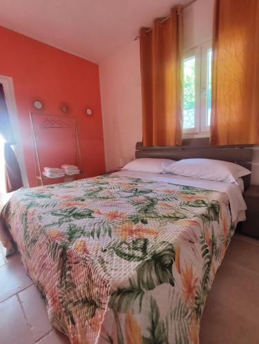 Foto Musa Balbisiana Casa Citrus 2