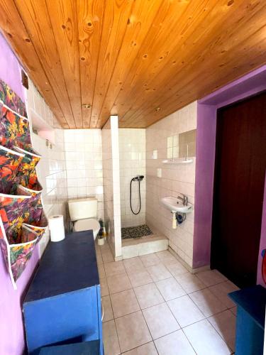a bathroom with a toilet and a sink at Chata Lesní Vyhlídka in Splzov