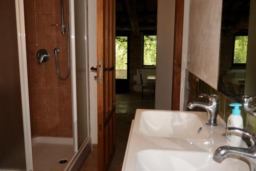 a bathroom with a sink and a shower at Borgo Santa Cristina in Castel Giorgio