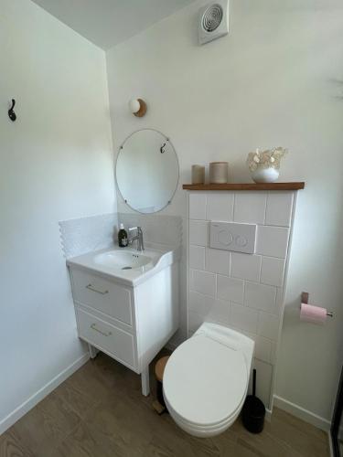 a bathroom with a white toilet and a sink at La MaiZon in Lazenay