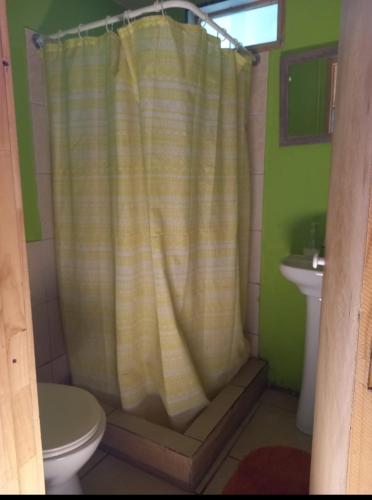 a bathroom with a shower curtain and a toilet at Cabañita en la Isla in Isla Negra