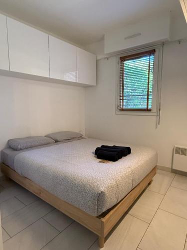 appartement cosy avec piscine