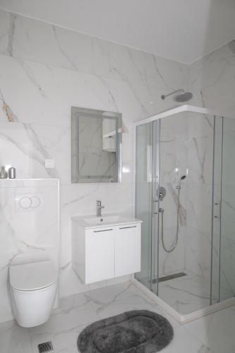a bathroom with a shower and a toilet and a sink at Celuga sea view apartments in Bar