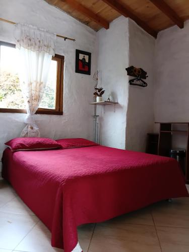 a red bed in a room with a window at Alma de Acero in Envigado