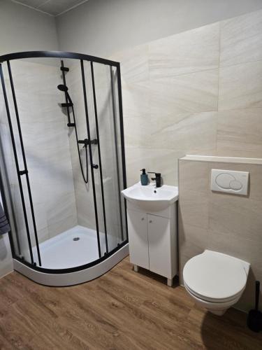 a bathroom with a shower and a toilet and a sink at Apartament 1 w Leśnym Zaciszu in Czertyń