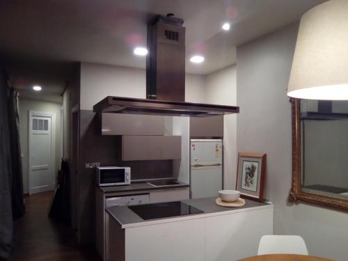 a small kitchen with a stove and a microwave at Jan&Joan Apartment in Bilbao